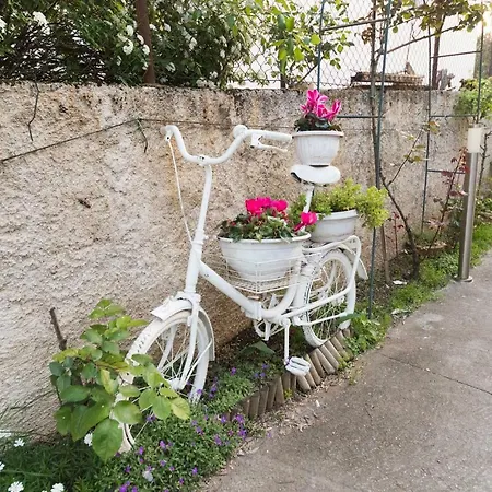 Apartman Lili Family